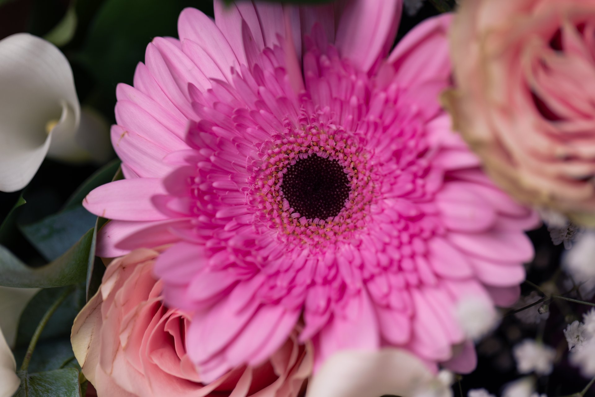 Times You Should Send Flowers