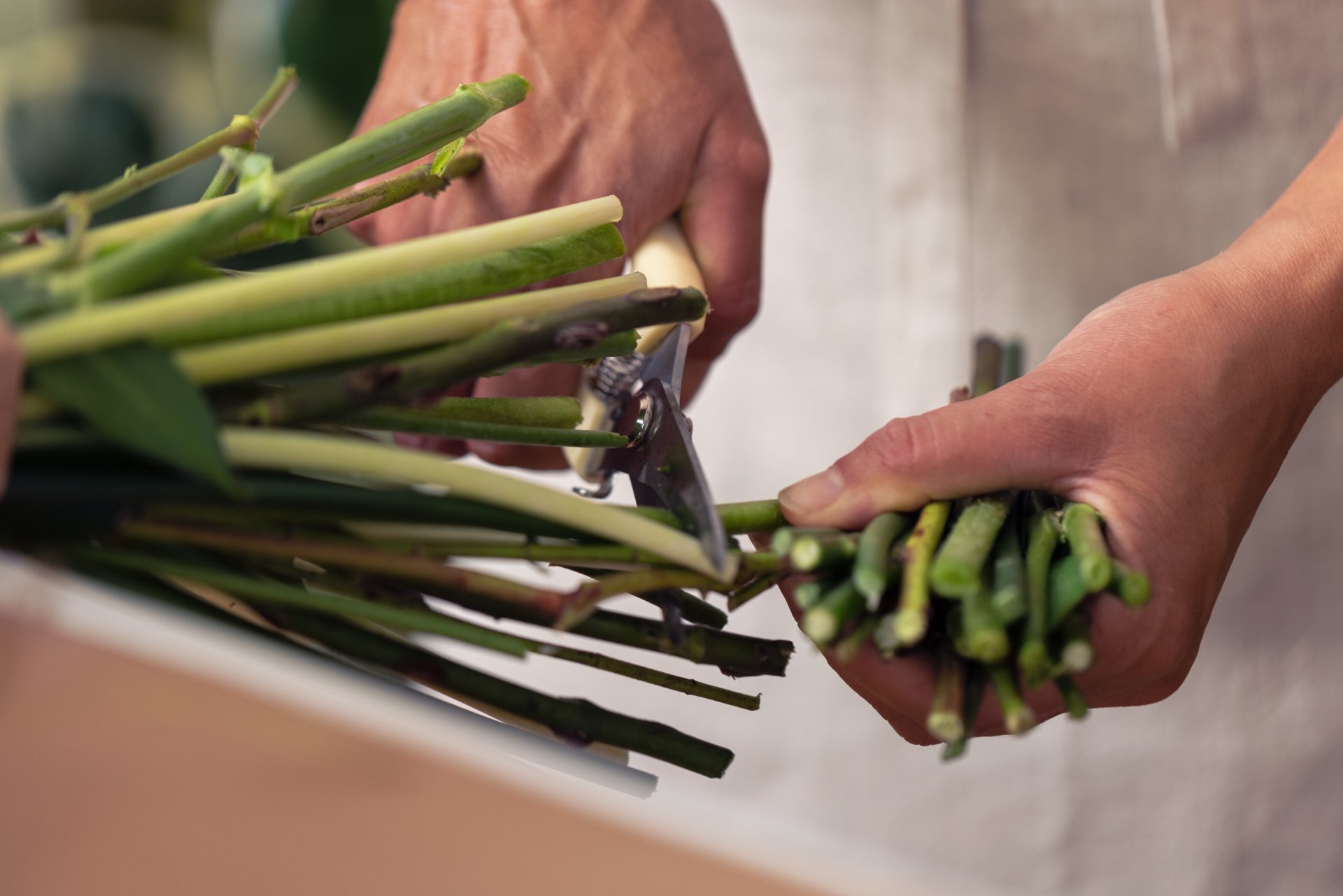 How to Care for Your Bouquet – Keep Your Flowers Looking Their Best